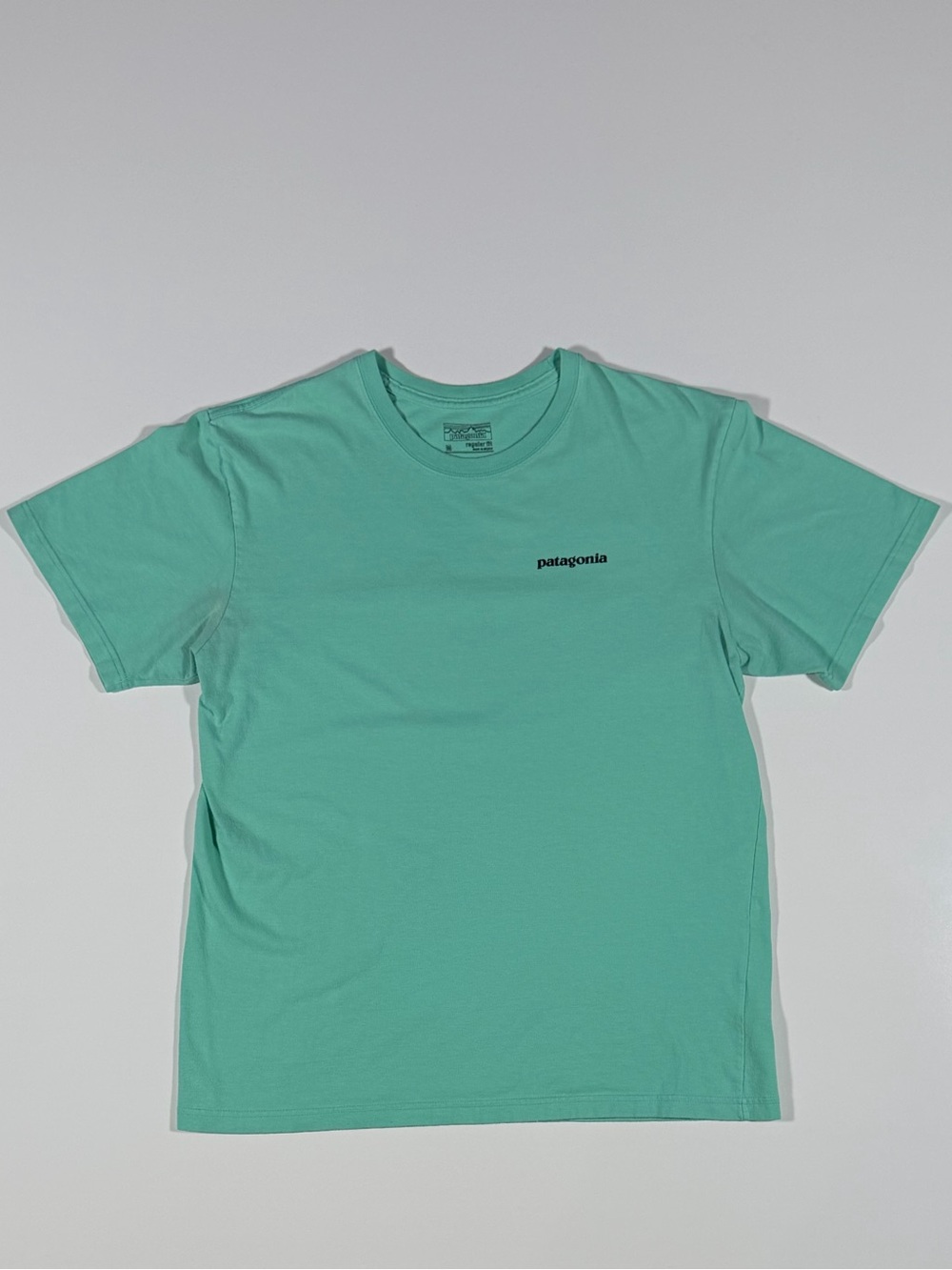 Patagonia Men's M Green Regular Fit Short Sleeve Crew Neck Graphic Logo T-Shirt
